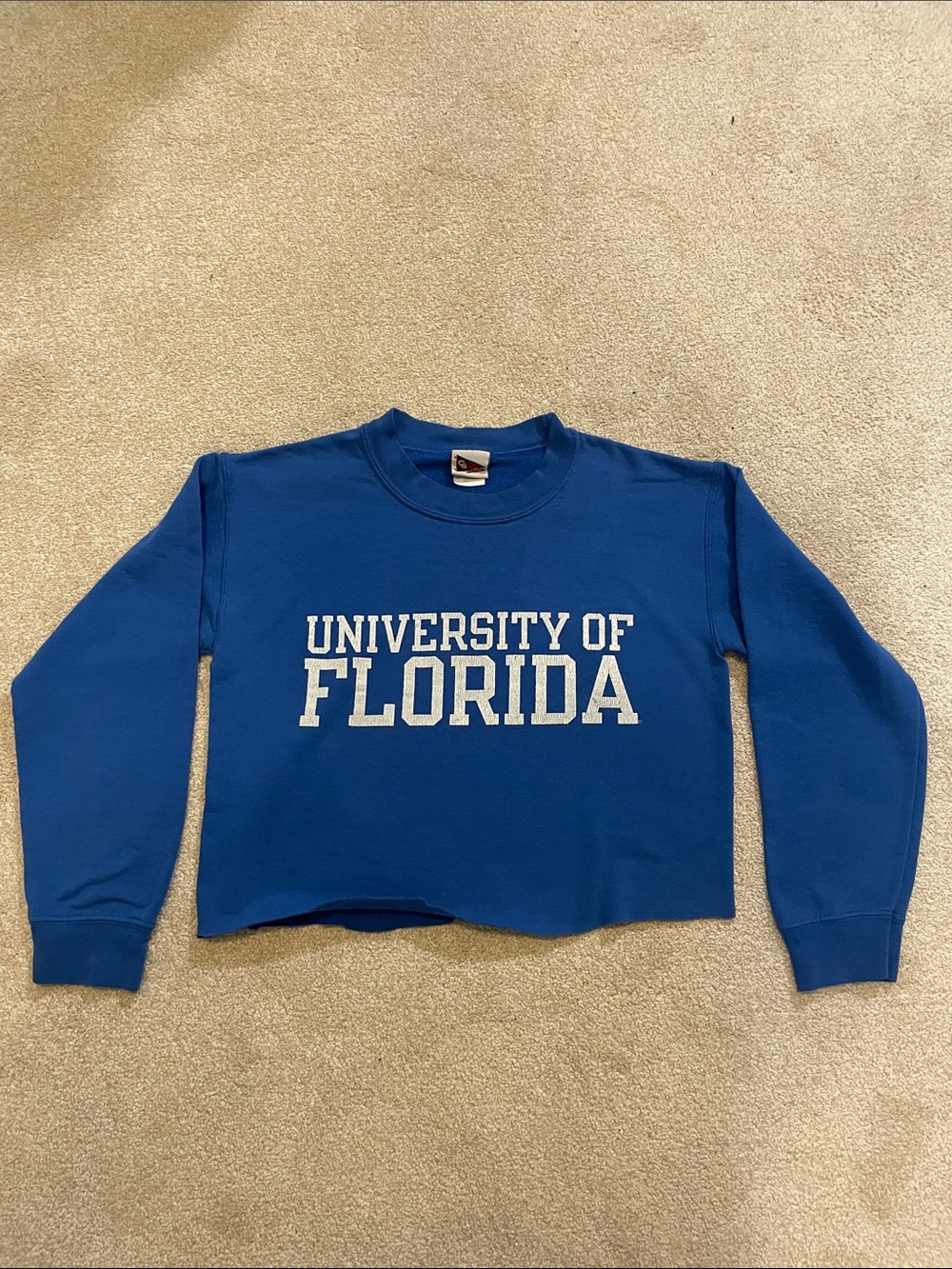 Vintage University of Florida Blue Cropped Crewneck Sweatshirt
